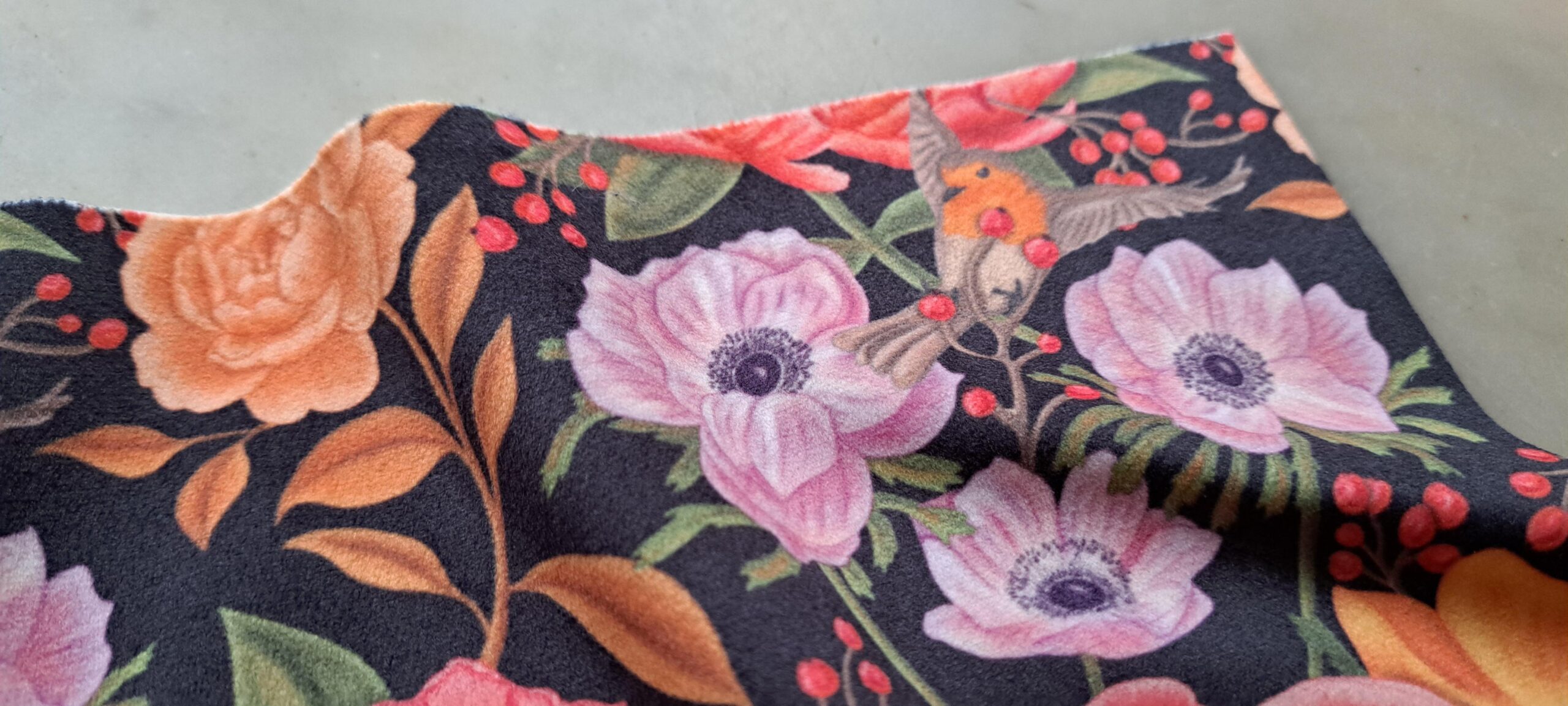 Velours oeko-tex imprimé en France – Motif – Lisière d’Automne – Fond Noir avec Rouge-Gorge Velours oeko-tex imprimé en France - Motif - Lisière d'Automne - Fond Noir avec Rouge-Gorge – Image 7